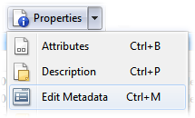 Edit metadata command.png